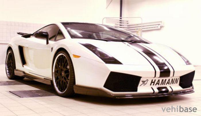 Hamann Gallardo SE