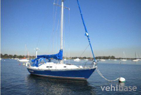 Hinterhoeller Redwing 35