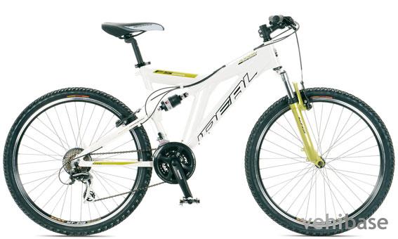 Ideal Axion