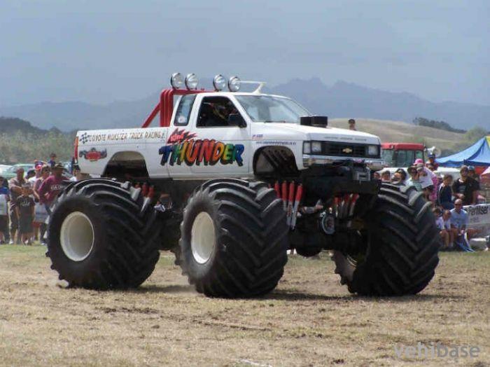 Kiwi Thunder