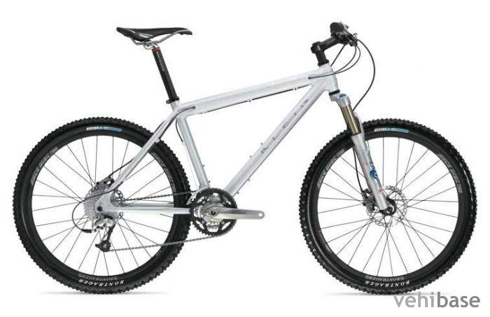 Klein Attitude XV