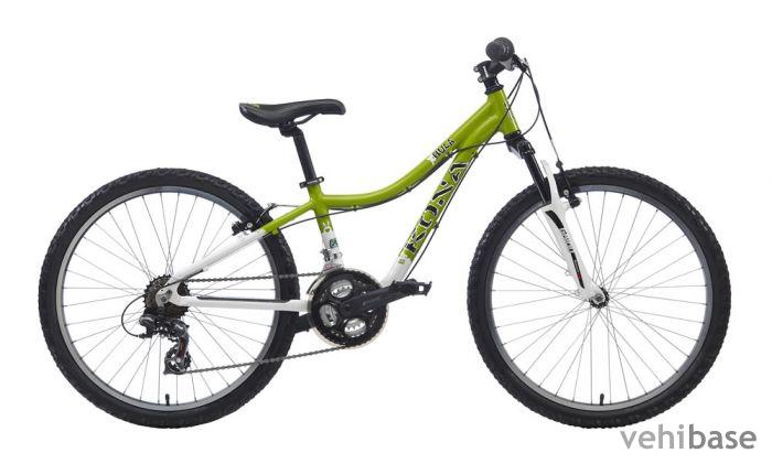 Kona Hula