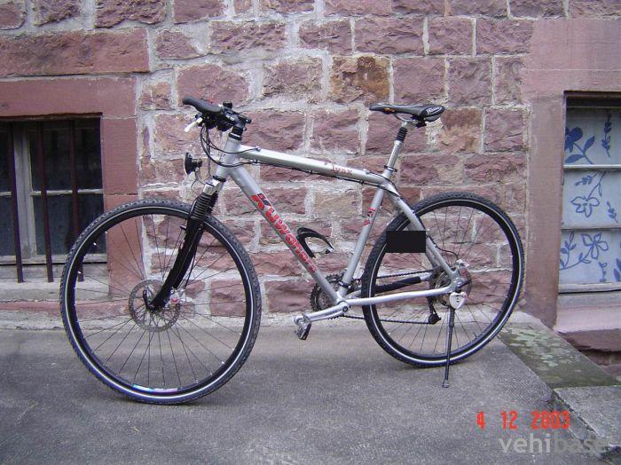 Kuwahara Lynx
