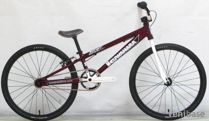 Kuwahara Nova Junior