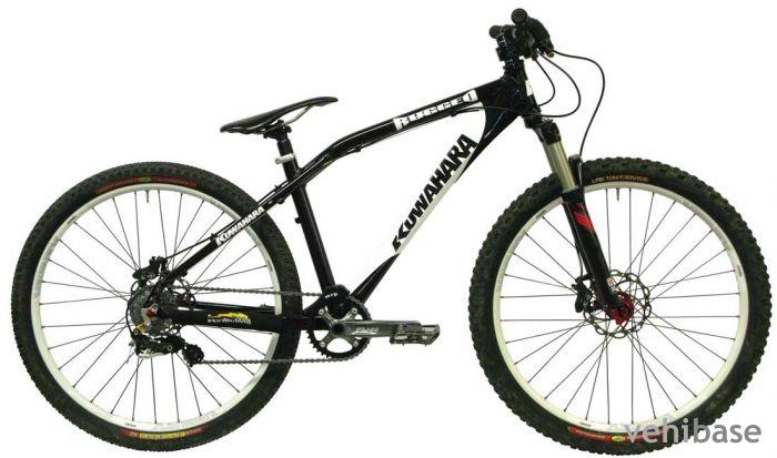 Kuwahara Rugged