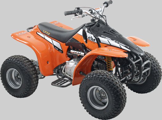 Lem Cayman Big