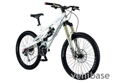 Marin Quake 7.3
