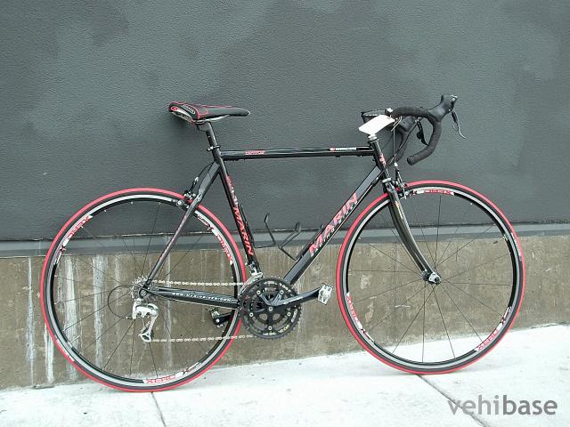 Marin Verona