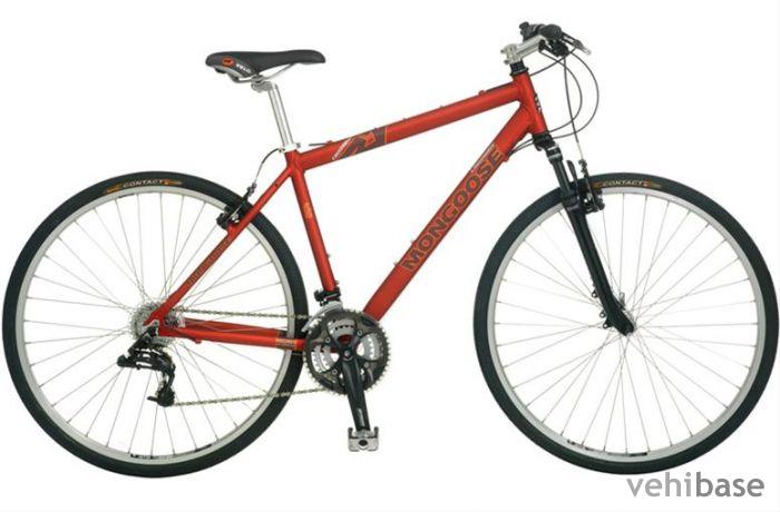 Mongoose Crossway 450