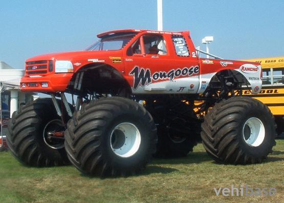 Mongoose