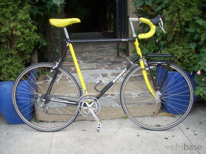 Nishiki Tri-A