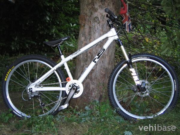 NS Bikes Bitch