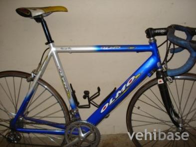 Olmo Dynamic