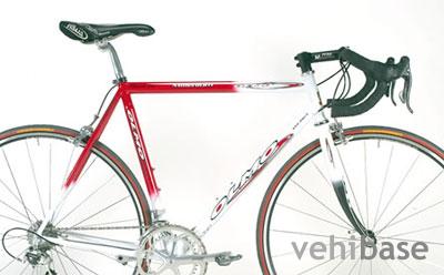 Olmo Millenium