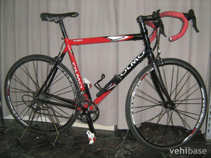 Olmo Scatto
