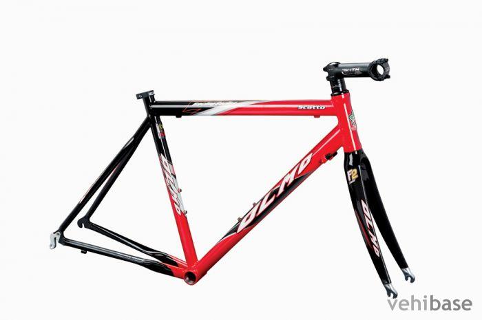 Olmo Scatto