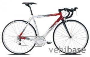 Orbea Asphalt