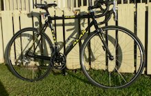 Alan Carbon x33