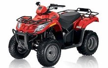 Arctic Cat 300