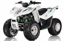 Arctic Cat 90 DVX Youth