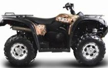 Bennche Gray Wolf 500