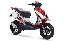 Beta Motor Ark LC Skull
