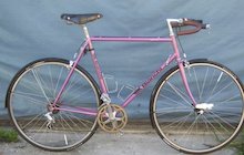 Bianchi Sport SX