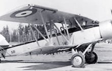 Blackburn Shark