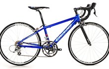 Blue 2 Four