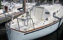 Bristol 29