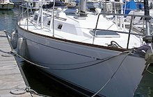 Cal 33