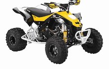 Can-Am DS 450 EFI X xc
