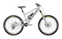 Canyon Torque 8.0 Dropzone