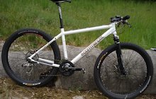 Commencal VIP Nuts 5