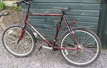 Diamondback Curaca