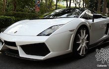 DMC Gallardo Toro