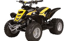 E-Ton Viper 90