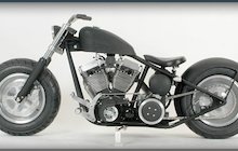 Exile Cycles Black Bull