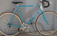 Fuji Flair