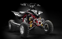 GAS GAS Wild HP 450