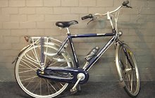 Gazelle Davos