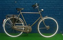 Gazelle Solide