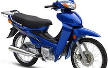Giantco Raider 110