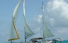 Grampian G34-1