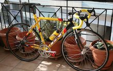 GT Team Lotto