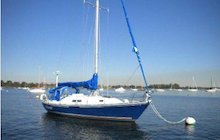 Hinterhoeller Redwing 35