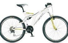 Ideal Axion