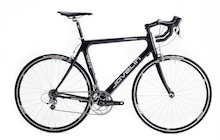Javelin Amarone SL