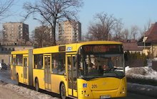 Jelcz M181MB3 Tantus