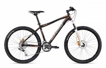 Marin Hawk Hill